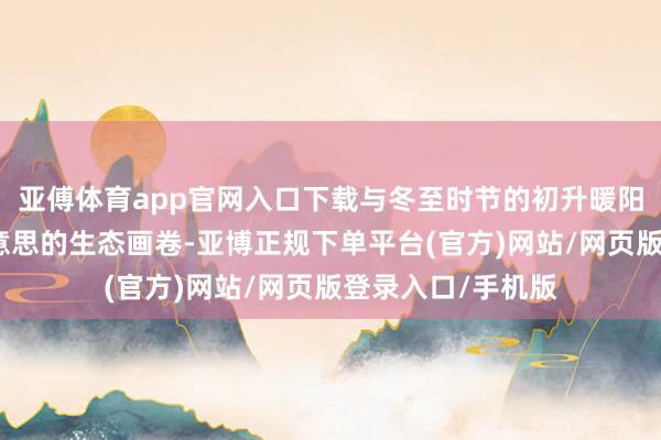 亚傅体育app官网入口下载与冬至时节的初升暖阳共绘成一幅绝好意思的生态画卷-亚博正规下单平台(官方)网站/网页版登录入口/手机版