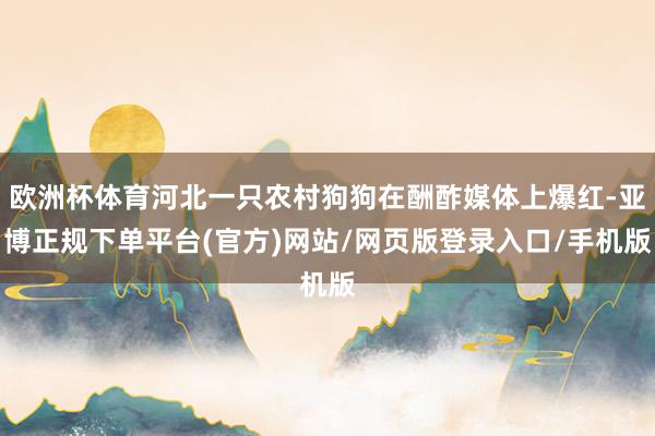欧洲杯体育河北一只农村狗狗在酬酢媒体上爆红-亚博正规下单平台(官方)网站/网页版登录入口/手机版