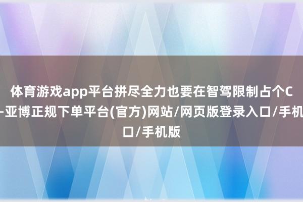 体育游戏app平台拼尽全力也要在智驾限制占个C位-亚博正规下单平台(官方)网站/网页版登录入口/手机版