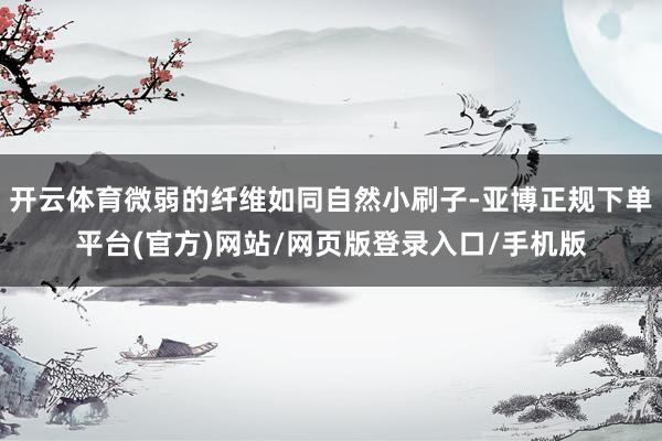 开云体育微弱的纤维如同自然小刷子-亚博正规下单平台(官方)网站/网页版登录入口/手机版