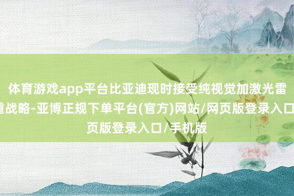 体育游戏app平台比亚迪现时接受纯视觉加激光雷达的双重战略-亚博正规下单平台(官方)网站/网页版登录入口/手机版