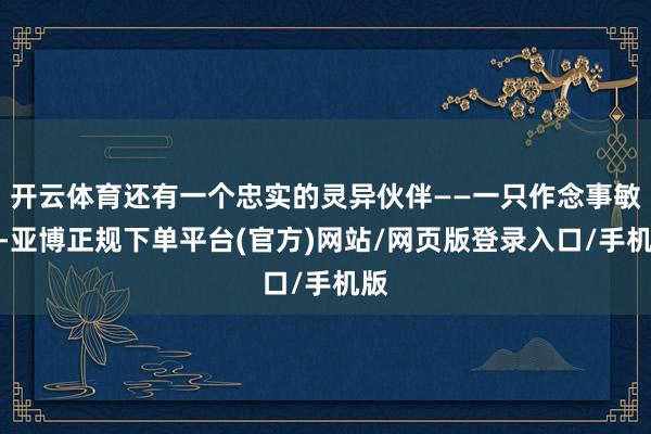 开云体育还有一个忠实的灵异伙伴——一只作念事敏捷-亚博正规下单平台(官方)网站/网页版登录入口/手机版