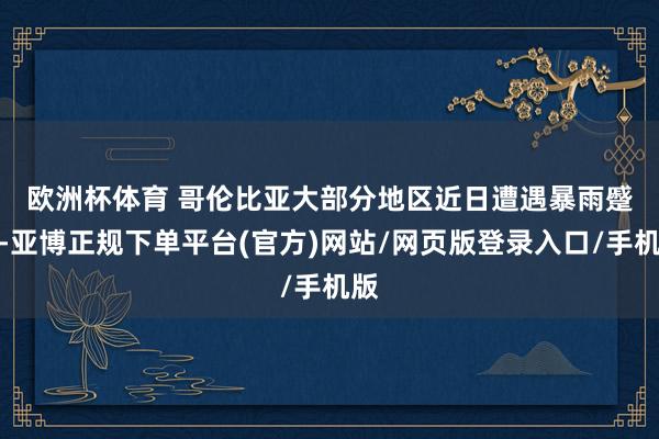 欧洲杯体育 　　哥伦比亚大部分地区近日遭遇暴雨蹙迫-亚博正规下单平台(官方)网站/网页版登录入口/手机版